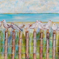 Lake Erie Gulls