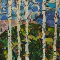 birch trees 8x8.jpg